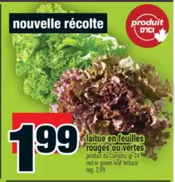 Super C laitue en feuilles rouges ou vertes | red or green leaf lettuce offer