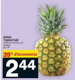 Super C ananas Tropical Gold | pineapple offer