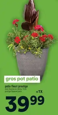 Super C patio fleuri prestige | prestige flowered patio offer