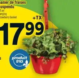 Super C panier de fraises suspendu | hanging strawberry basket offer