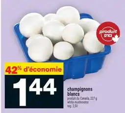 Super C champignons blancs | white mushrooms offer