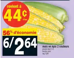 Super C maïs en épis 2 couleurs | bicolor corn offer