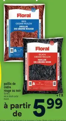 Super C paillis de cèdre rouge ou noir | red or black cedar mulch offer