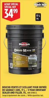 Canadian Tire BLACK JACK 3-YEAR DRIVEWAY SEALER AND FILLER, 17L offer