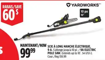 Canadian Tire 9A ELECTRIC POLE SAW offer