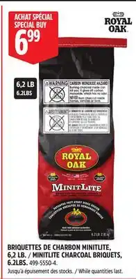 Canadian Tire MINITLITE CHARCOAL BRIQUETS offer