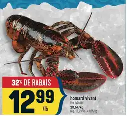 Marché Adonis homard vivant | live lobster offer