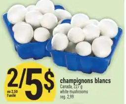 Marché Adonis champignons blancs | white mushrooms offer