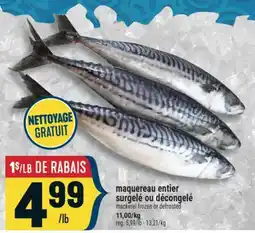 Marché Adonis MAQUEREAU ENTIER SURGELÉ OU DÉCONGELÉ | MACKEREL FROZEN OR DEFROSTED offer