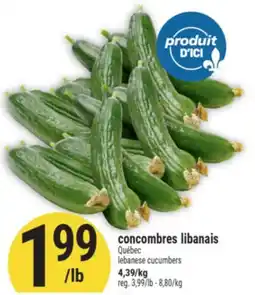 Marché Adonis concombres libanais | lebanese cucumbers offer