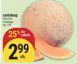 Marché Adonis cantaloup | cantaloupe offer