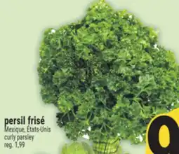 Marché Adonis persil frisé | curly parsley offer