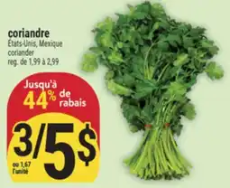 Marché Adonis coriandre | coriander offer