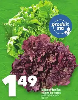 Marche Ami Laitue en feuilles rouges ou vertes offer