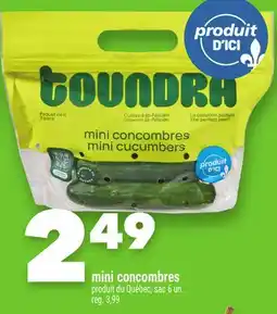 Marche Ami mini concombres offer