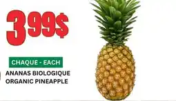 Marches Tau ANANAS BIOLOGIQUE offer