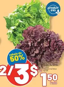 Marché Richelieu LAITUE EN FEUILLES ROUGES OU VERTES | RED OR GREEN LEAF LETTUCE offer