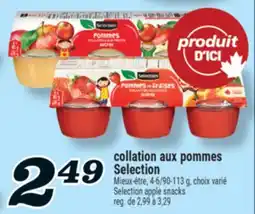 Marché Richelieu COLLATION AUX POMMES SELECTION | SELECTION APPLE SNACKS offer