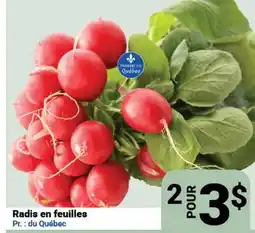 Pasquier Radis en feuilles offer