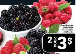 Pasquier Framboises ou Mûres offer