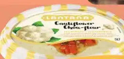 IGA LANTANA HUMMUS offer