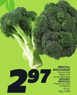 IGA ORGANIC BROCCOLI offer