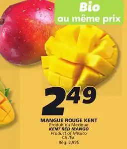 IGA KENT RED MANGO offer