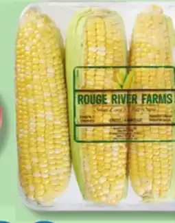 IGA CREAM CORN ON THE COB offer