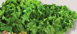 IGA GREEN LEAF LETTUCE offer