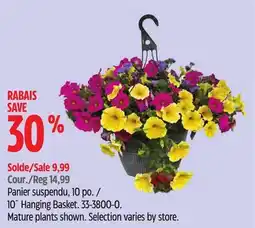 Canadian Tire Panier suspendu, 10 po offer