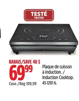 Canadian Tire Induction Cooktop offer
