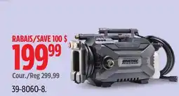 Canadian Tire SIMONIZ PLATINUM offer