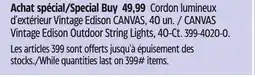 Canadian Tire Vintage Edison Outdoor String Lights, 40-Ct offer