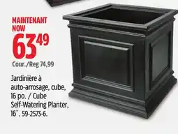 Canadian Tire Jardinière à auto-arrosage, cube offer