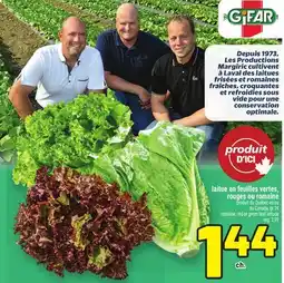 Metro LAITUE EN FEUILLES VERTES, ROUGES OU ROMAINE | ROMAINE, RED OR GREEN LEAF LETTUCE offer