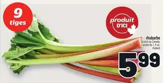 Metro RHUBARBE | RHUBARB offer