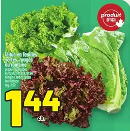 Metro LAITUE EN FEUILLES VERTES, ROUGES OU ROMAINE offer