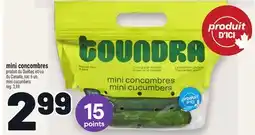 Metro MINI CONCOMBRES | MINI CUCUMBERS offer