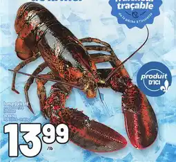 Metro HOMARD VIVANT offer