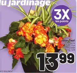 Metro PANIER FLEURI | BLOOMING BASKET offer