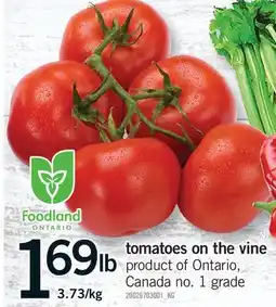 Fortinos TOMATOES ON THE VINE offer