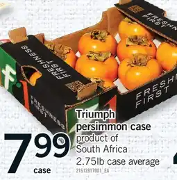 Fortinos TRIUMPH PERSIMMON CASE offer
