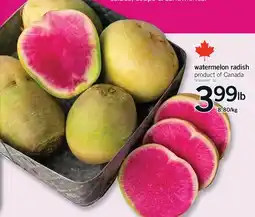 Fortinos WATERMELON RADISH offer