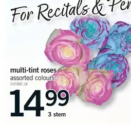 Fortinos MULTI-TINT ROSES, 3 STEM offer