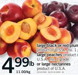 Fortinos LARGE BLACK OR RED PLUMS, LARGE PEACHES OR LARGE NECTARINES offer