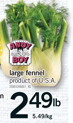 Fortinos LARGE FENNEL offer