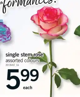 Fortinos SINGLE STEM ROSE offer