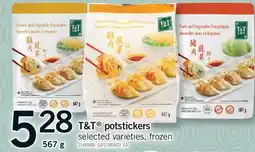 Fortinos T&T POTSTICKERS offer