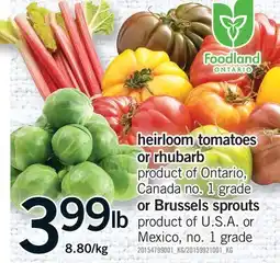 Fortinos HEIRLOOM TOMATOES OR RHUBARB OR BRUSSELS SPROUTS offer