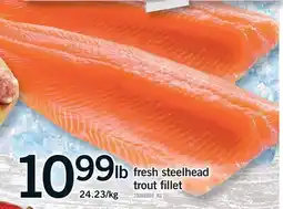 Fortinos FRESH STEELHEAD TROUT FILLET offer